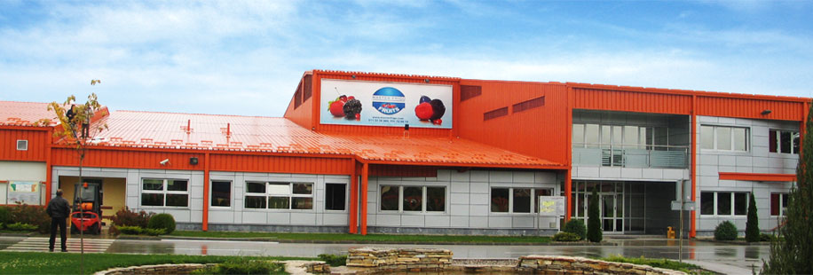 Master Frigo Fruits