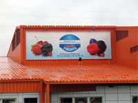 Galerija Master Fruits