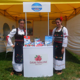 Arilje - Dani maline