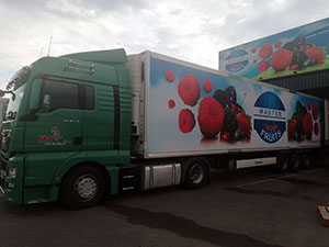 Galerija Master Fruits
